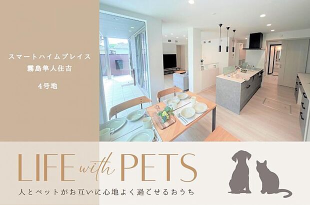 ダイニングキッチン【4号地】(2024年6月撮影)