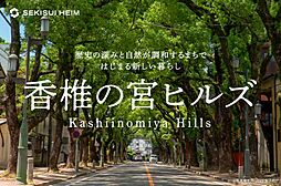 【セキスイハイム】香椎の宮ヒルズ【建築条件付土地】の土地画像