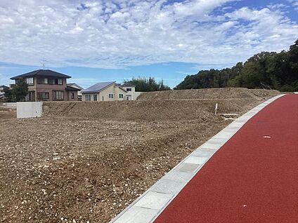 10号地（2025年11月撮影）