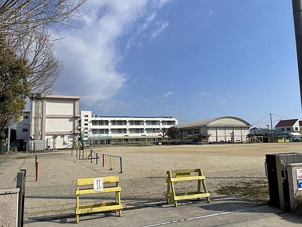 西小学校（約700m）
