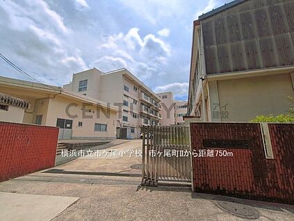 横浜市立市ケ尾小学校 750m(10分)