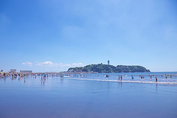 鵠沼海岸(約600m)