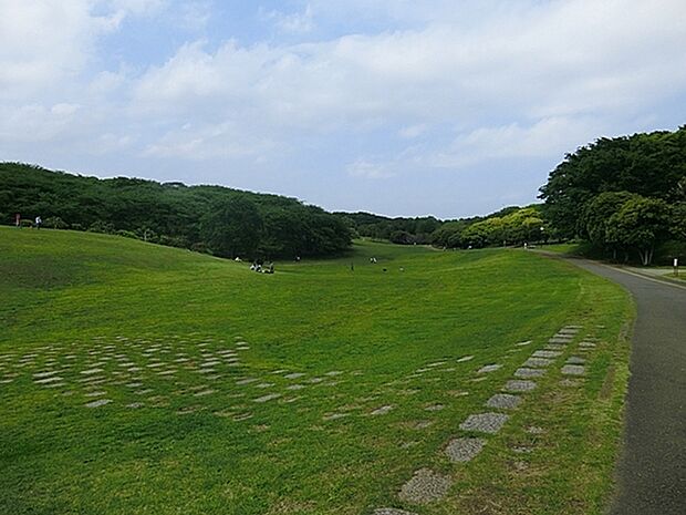根岸森林公園(約1,200m・徒歩15分)
