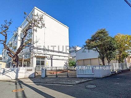 横浜市立斎藤分小学校 600m(8分)