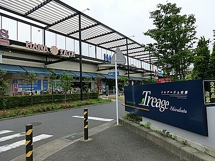 ピーコックストア藤沢トレアージュ白旗店 1500m(19分)