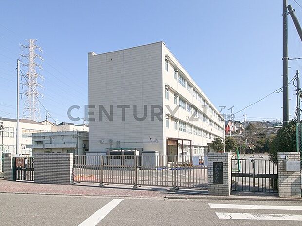 横浜市立不動丸小学校 （約920m）