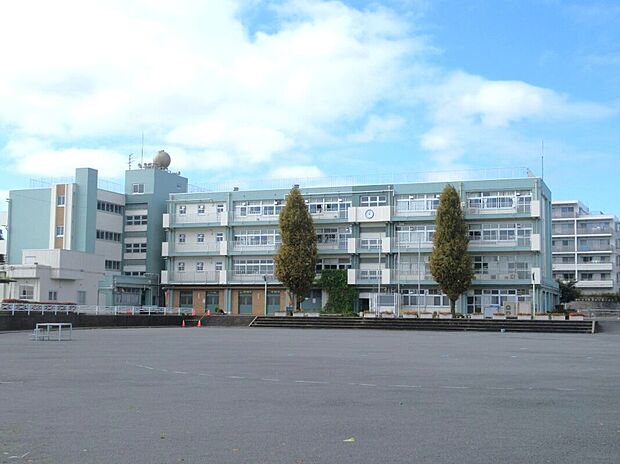 横浜市立浦島小学校（約600m）