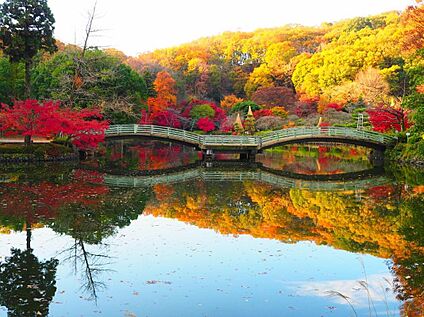 薬師池公園 1400ｍ(徒歩18分)