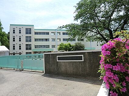 流山市立長崎小学校 900m(12分)