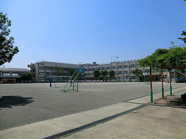 足立区立六木小学校（約600m）