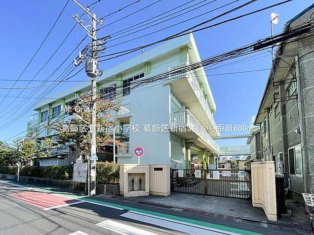 葛飾区立新宿小学校（約600m・徒歩8分）