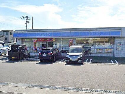 ローソン 三郷鷹野二丁目店 800m(10分)