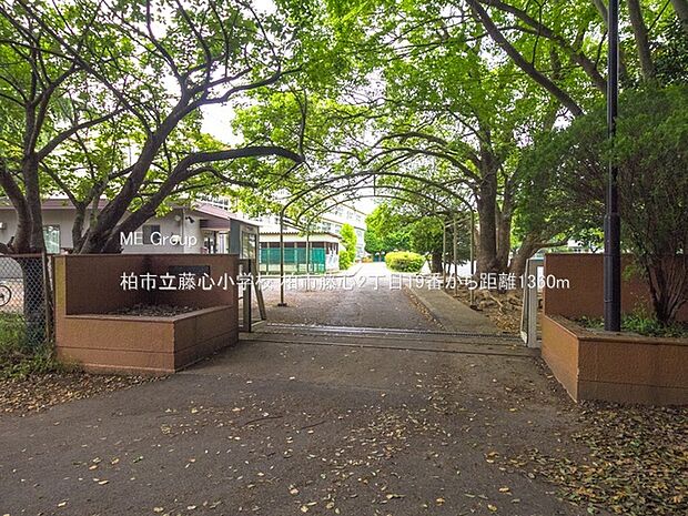柏市立藤心小学校(約1,360m・徒歩17分)