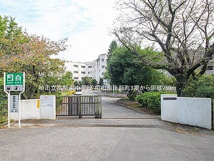 柏市立富勢東小学校 750m