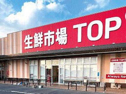 生鮮市場TOP 八潮伊草店 900m(12分)