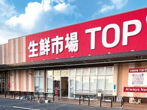 生鮮市場TOP 八潮伊草店(約900m・徒歩12分)