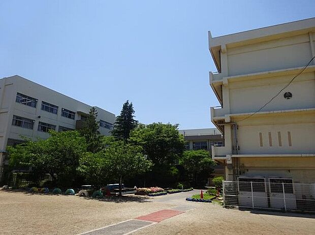 船橋市立宮本小学校(約950m)