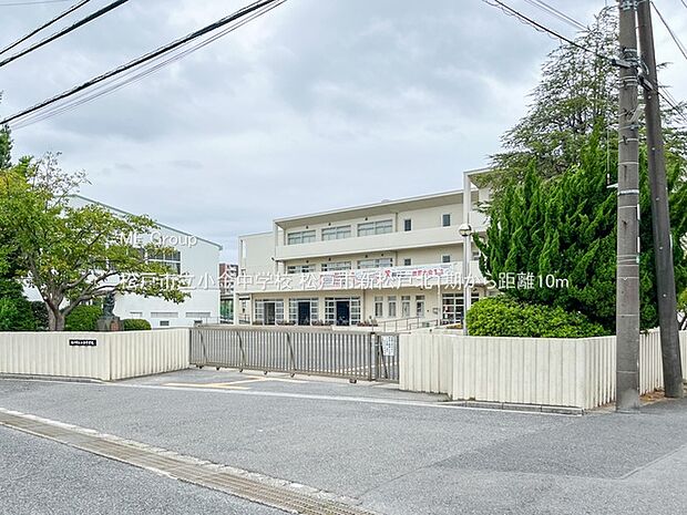 松戸市立小金中学校(約10m)