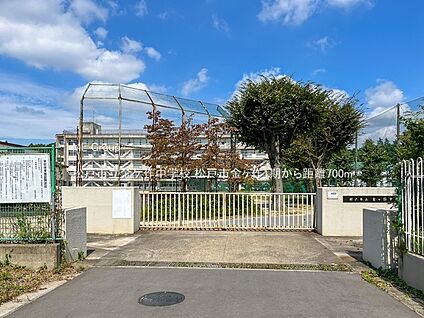 松戸市立金ケ作中学校 700m