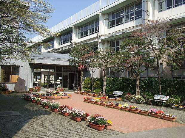 世田谷区立奥沢中学校(約900m)