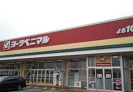 ヨークベニマル谷田部店 1100m