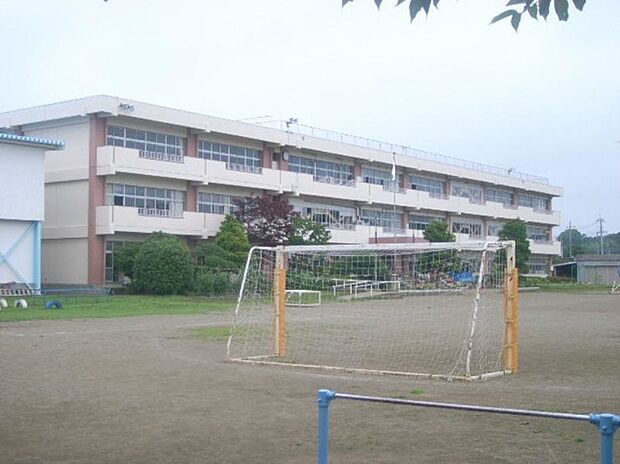 今鹿島小学校（約964m）