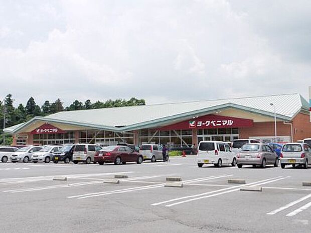 ヨークベニマル 豊里店