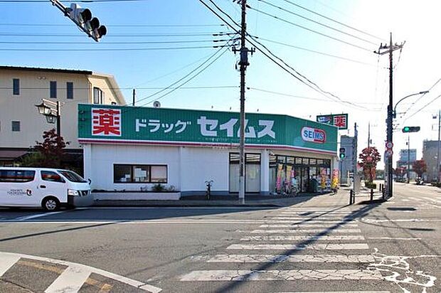 ドラッグセイムス東狭山ヶ丘店（約500m）