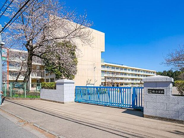 所沢市立林小学校（約590m）