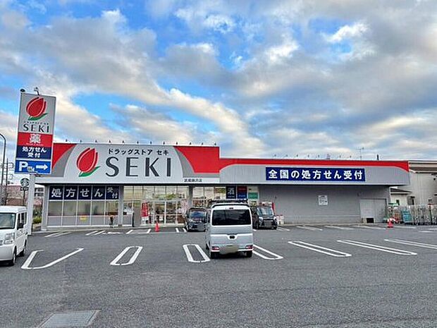 ドラッグストアセキ武蔵藤沢店（約797m）