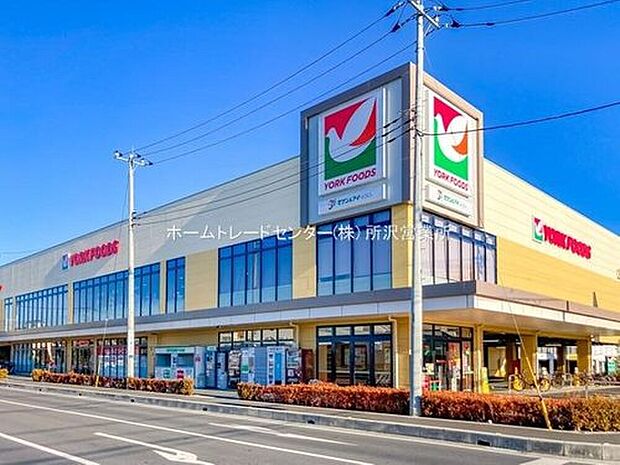 ヨークフーズ所沢花園店(約781m)