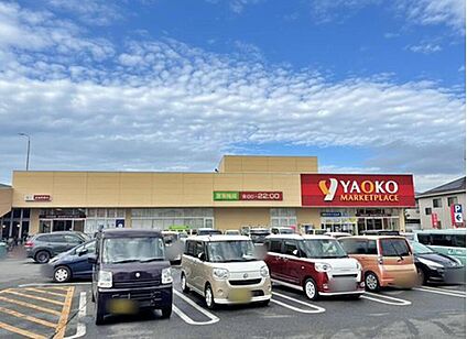ヤオコー入曽店 1172ｍ(徒歩15分)