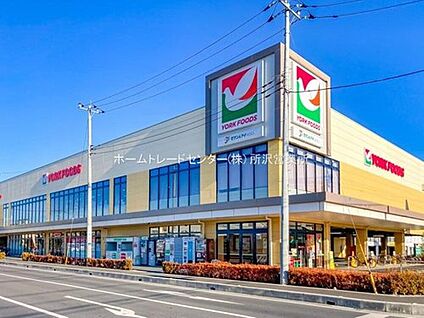 ヨークフーズ所沢花園店 713m(徒歩9分)