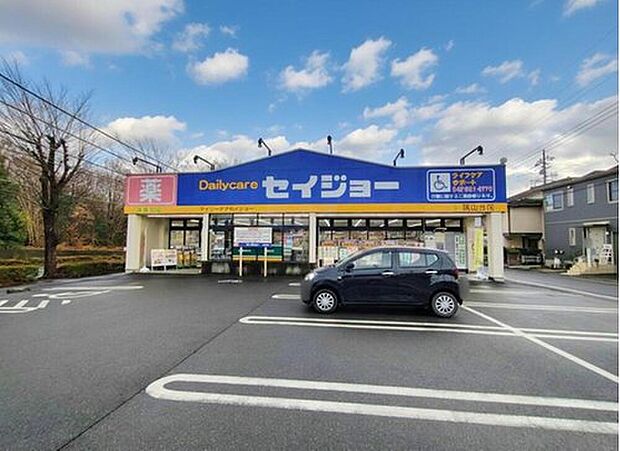 デイリーケアセイジョー狭山台店(約931m)
