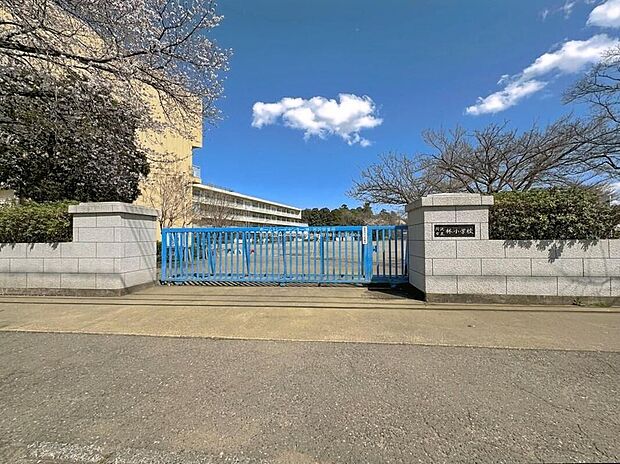所沢市立林小学校（約640m）