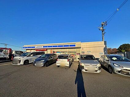 ローソン狭山入曽運動公園前店 891ｍ(徒歩12分)