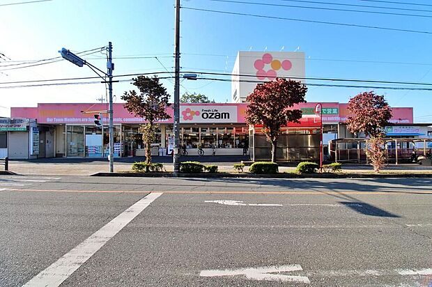スーパーオザム東狭山ヶ丘店(約396m)