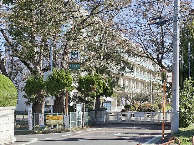 所沢市立安松小学校(約800m)