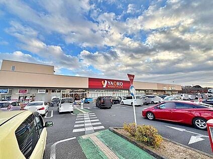 ヤオコー入間下藤沢店 613m(徒歩８分)
