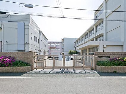 所沢市立南小学校 850m(徒歩11分)