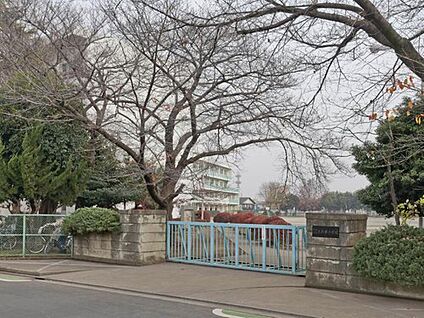 所沢市立小手指中学校 1200ｍ(徒歩15分)