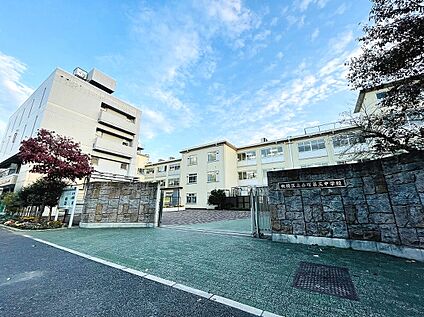 板橋区立赤塚第三中学校 約240ｍ(徒歩3分)
