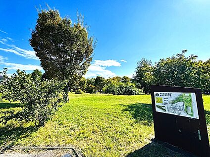 練馬区立大泉町もみじやま公園 590ｍ