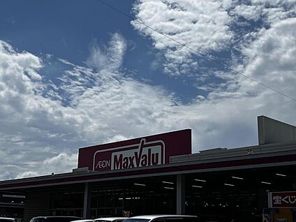 イオンタウン豊橋橋良店 930m(12分)