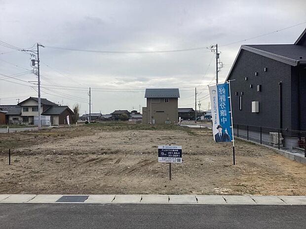 13号地　2026年2月撮影