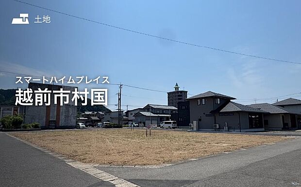 2026年10月撮影