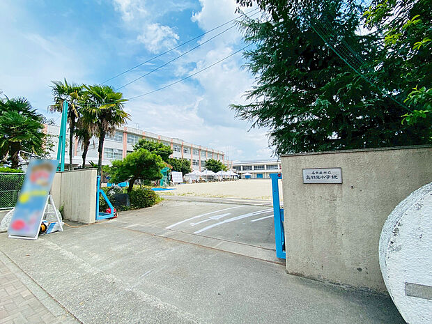 鳥羽見小学校