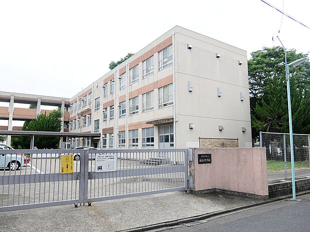 桜丘中学校(約960m)