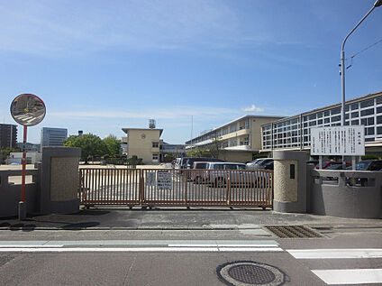 精華小学校 1000ｍ