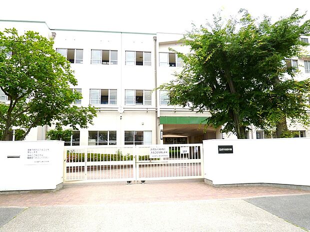 名古屋市立南光中学校(約750m)